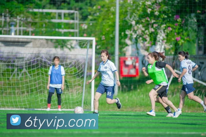 6T体育品牌故事