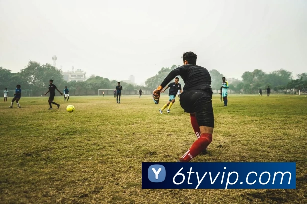 6T体育服务体系